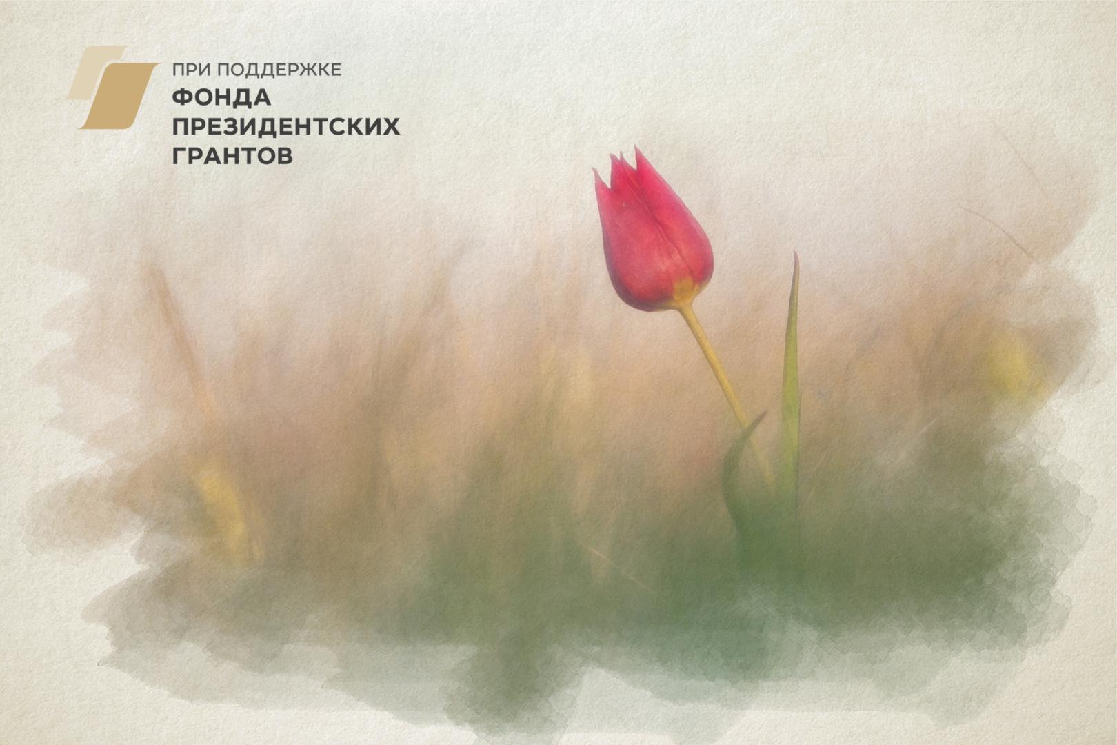 Чудо природы - Куриловская степь